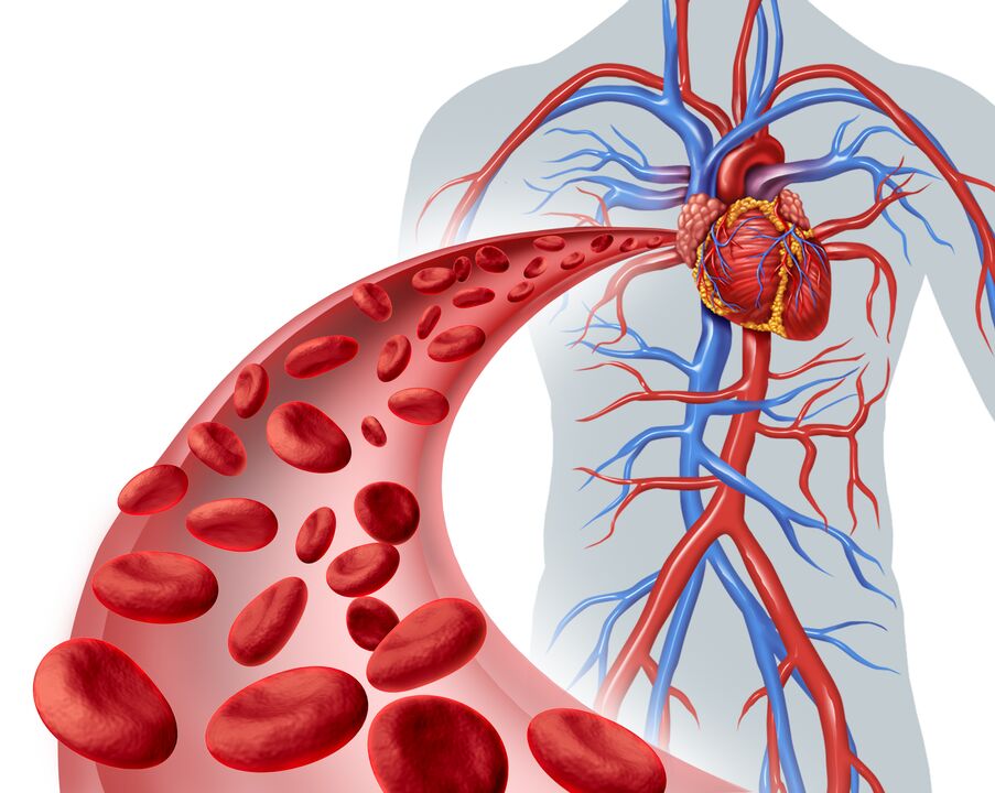 Bonne circulation sanguine après utilisation Eroboost